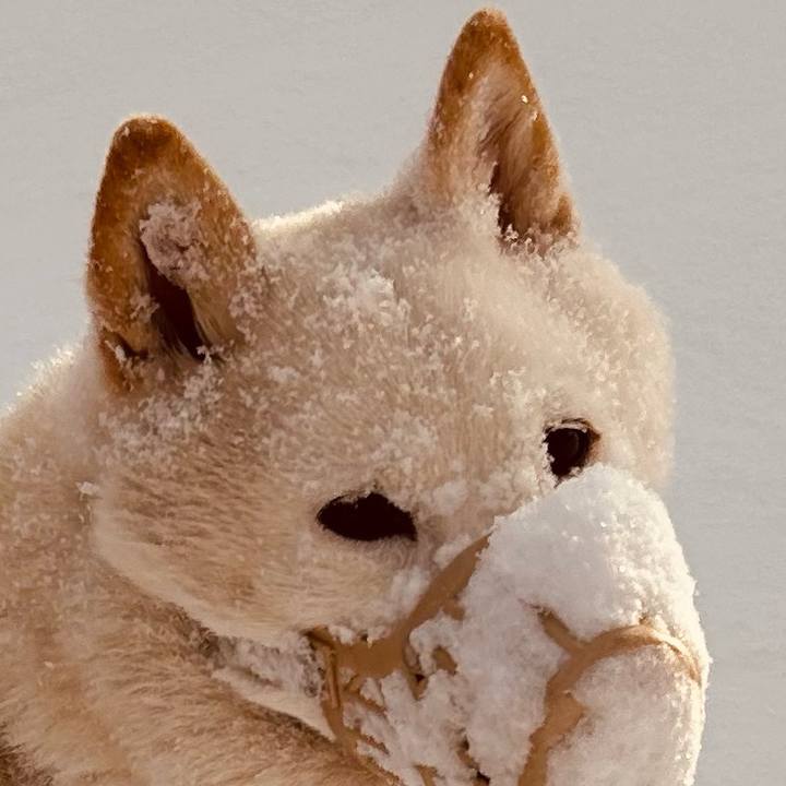 Cc631726 711a 416d ba6d e6d44970ed0d 1742250940621