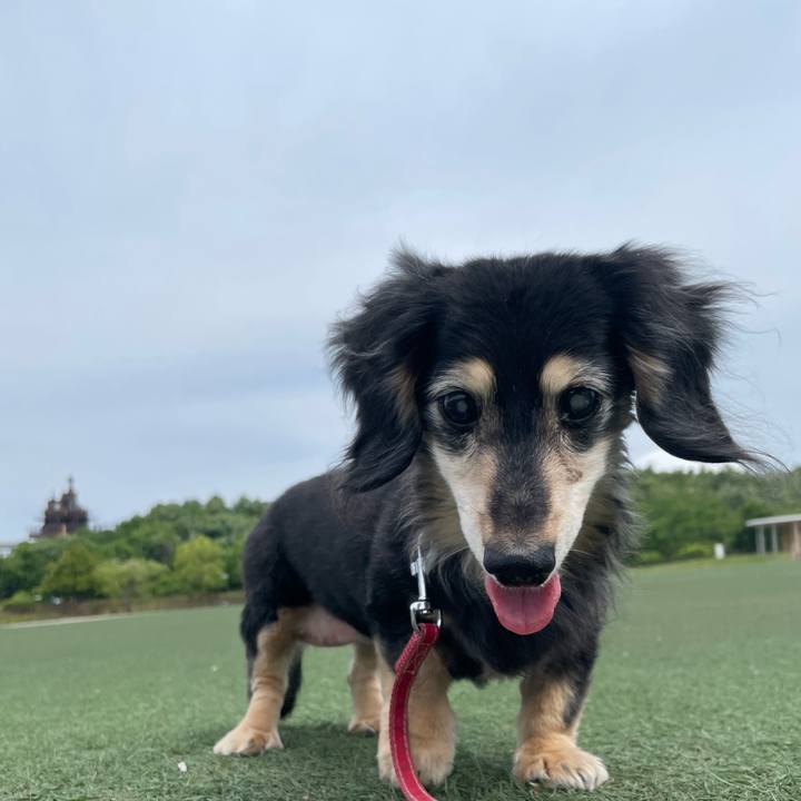 Cc63a653 23bf 4d6b 9716 44fcd148806f 1749451139923