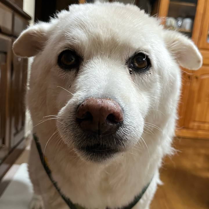 Cc63abd0 842a 4b0e b476 67e6d6c0cfeb 1761262297236