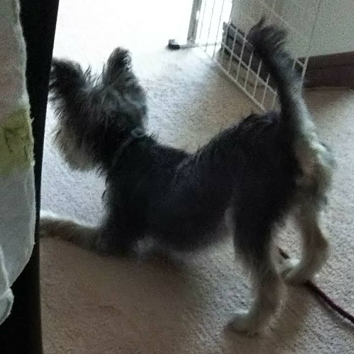 Cc63b8e3 6a64 4d96 bb2f a43fcb721a84 1538737684191