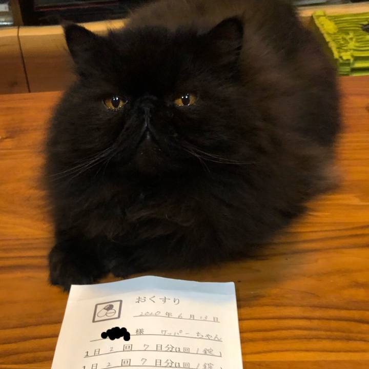 Cc63c997 2ca7 4b12 bfbd a734396c0fb7 1592058474318