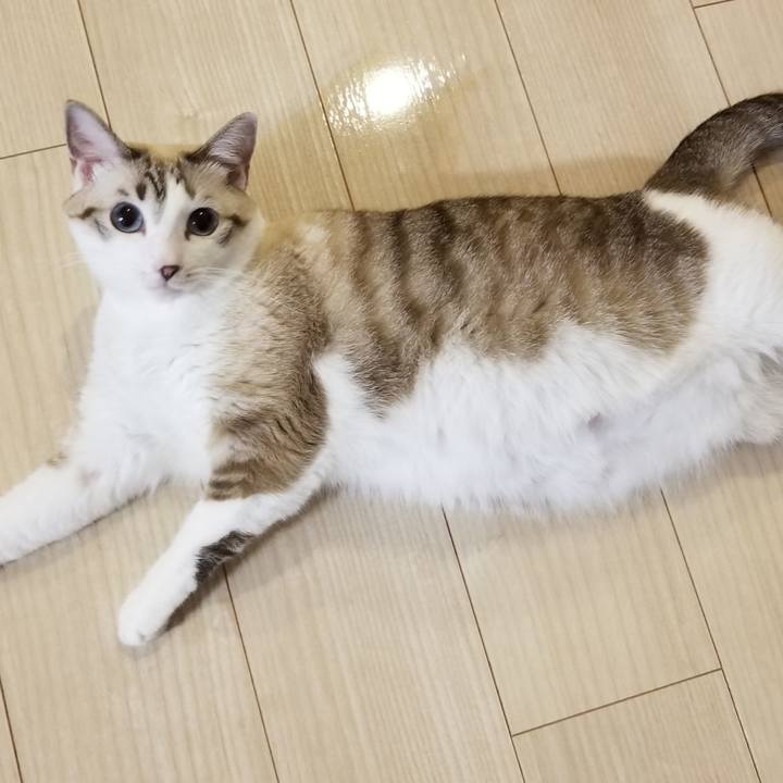 Cc63dde2 0b4c 476a 8860 ecf2949074b4 1537705271928