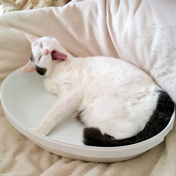 Cc63f10d d598 47ae a459 253001d1e8a9 1568180016821