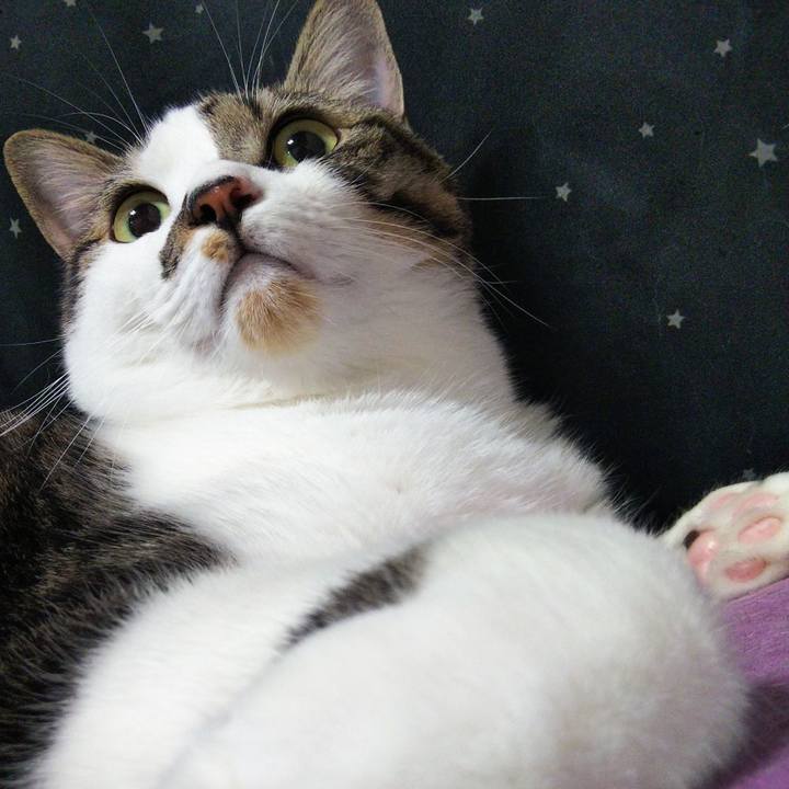 Cc646b8a 1900 4d8e 91cd 056143dd3c7b 1634371278271