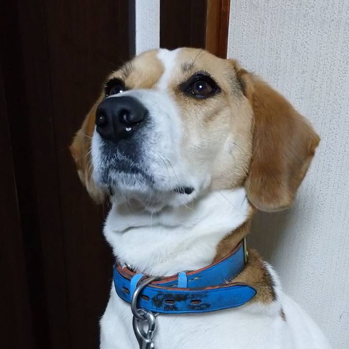 Cc648208 0e16 45ad ba6b 40b0f3f79868 1611661414504