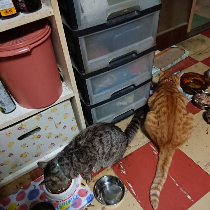 Cc64aa8a 70d5 4a2e acee 3321f7268850 1563999103487