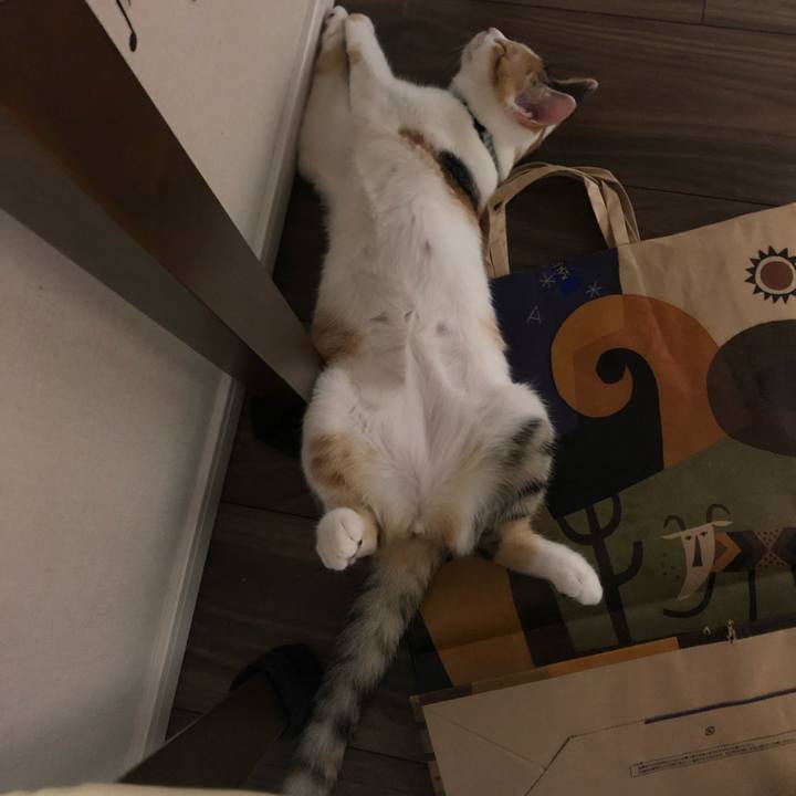 Cc64b219 3bff 44e6 b129 1d86cef547f8 1567606760381