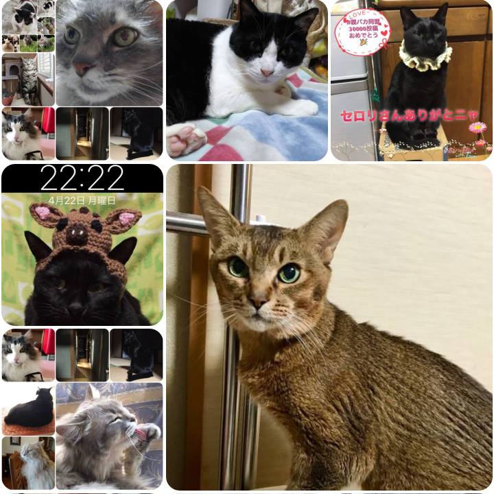 Cc64dd40 5b8a 411a aa79 f45a6fb86a6f 1556009499226