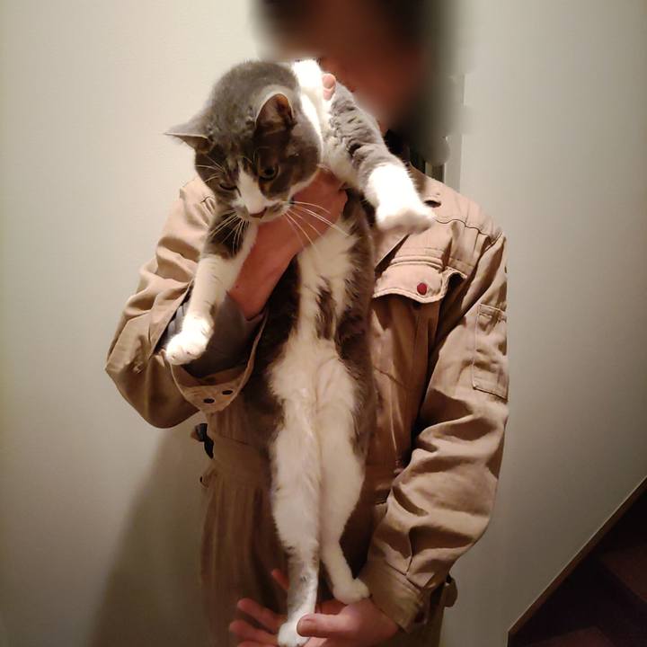 Cc64efe3 2daa 4d26 9103 fd54fef374c9 1676985232237