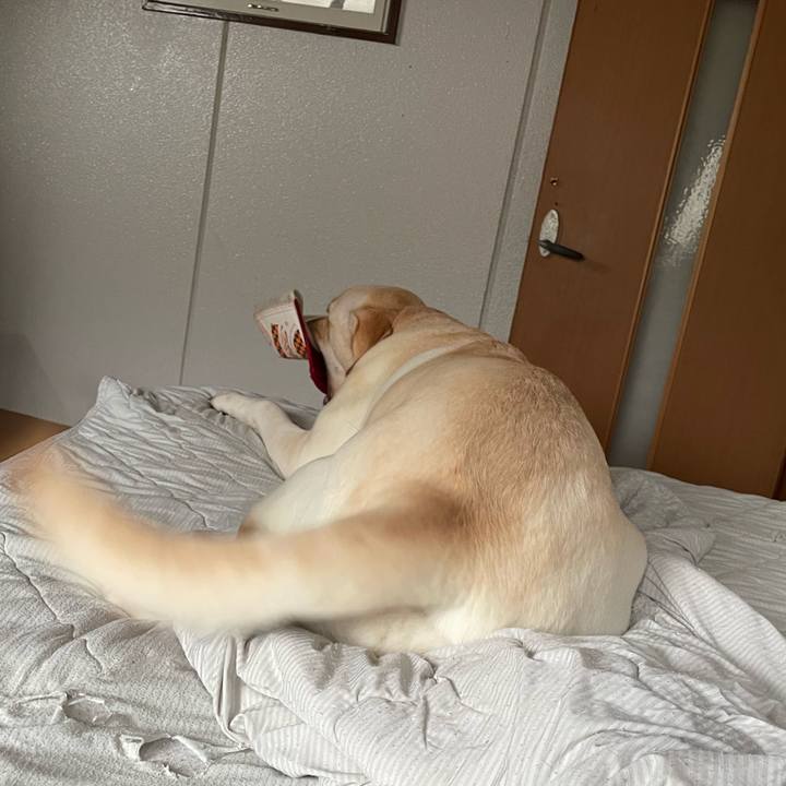 Cc64f4aa 16d0 4670 a035 fd478f4c9b2e 1661215809147