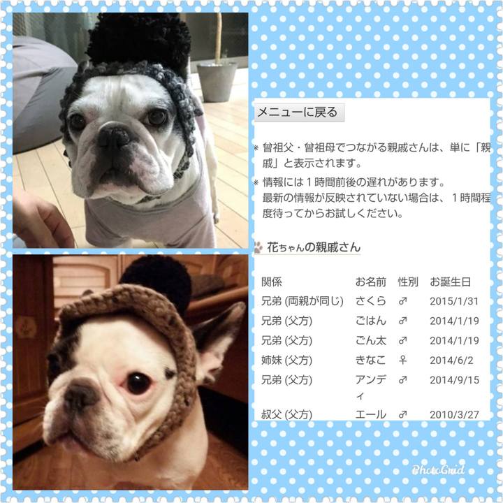 Cc651cca e3c8 44d1 a5fc ea15316bc5a2 1602424118040