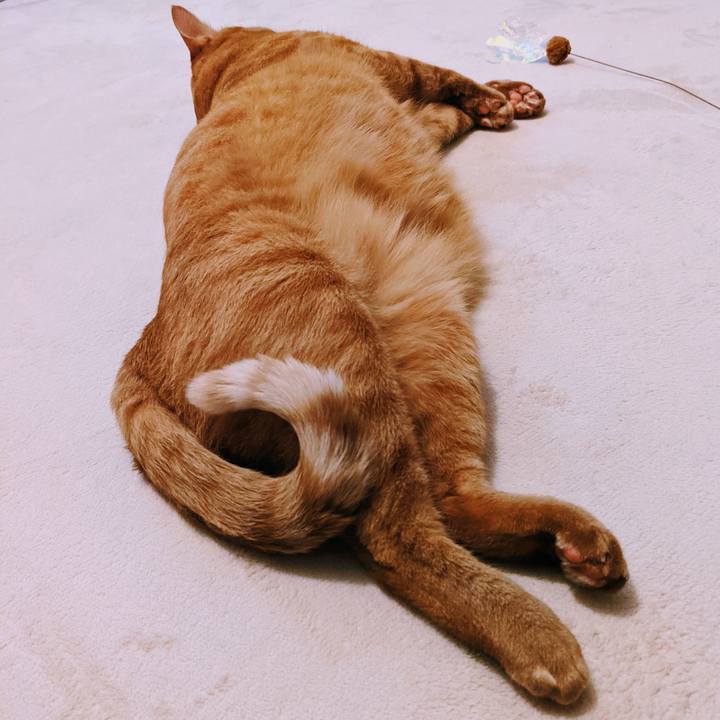 Cc657da8 959e 411e 8c2e 830142015f0e 1627355977485