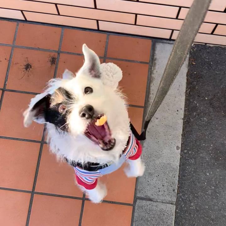 Cc65a7d1 bf37 4b4f abbc 50c9cc0f5b96 1735256709886