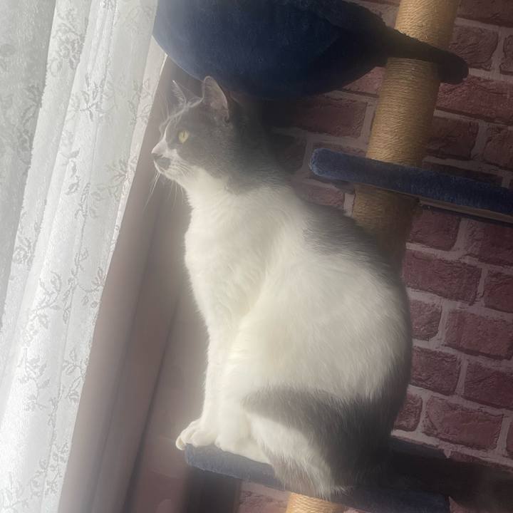 Cc65bcab 8dbc 4b1d 81ed 18693f4373f6 1729984617438