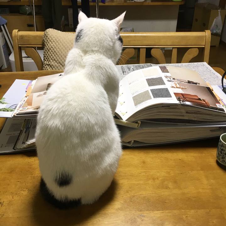 Cc66009b 8de0 4d2a 9121 ed41194d4c21 1517924442861