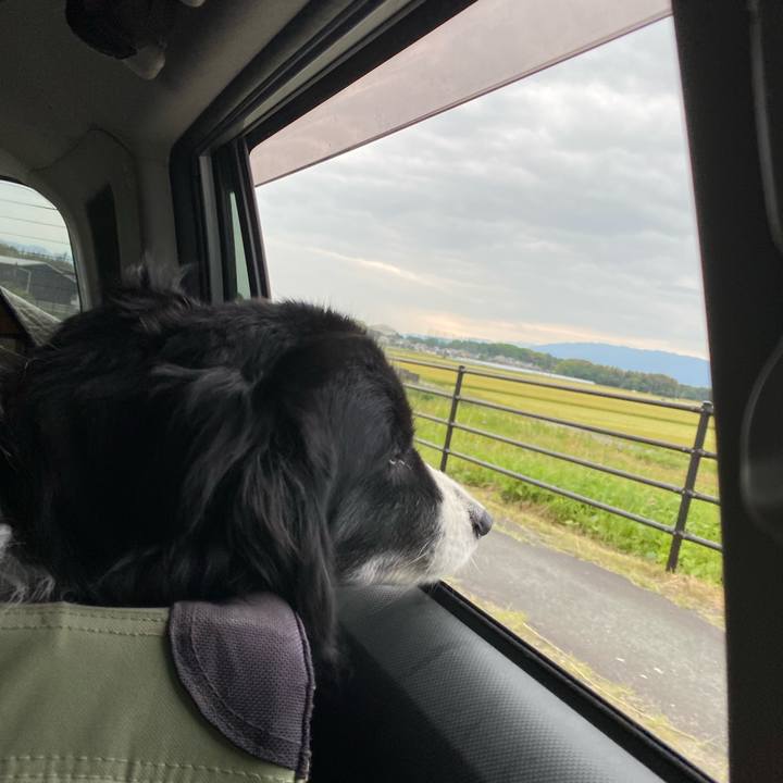 Cc661cbf d5dd 4f5e b536 f989630d9b43 1652134042079