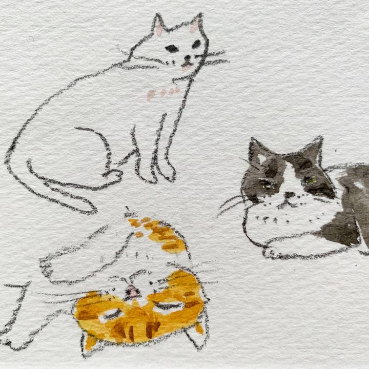 Cc662c9b aa81 4433 9a26 567cae6e96c3 1601281771836