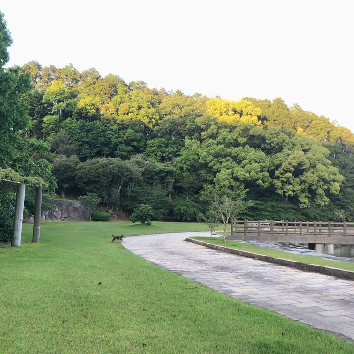 Cc664bd6 41a5 40da b8f9 17259d3d5473 1682937102928