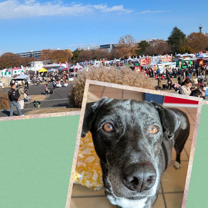 Cc6659a3 1365 4334 bc98 2b6156aafef9 1733616800448