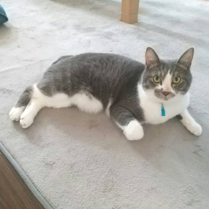 Cc667d17 c1f9 48a9 8268 9d6569452589 1628027932856