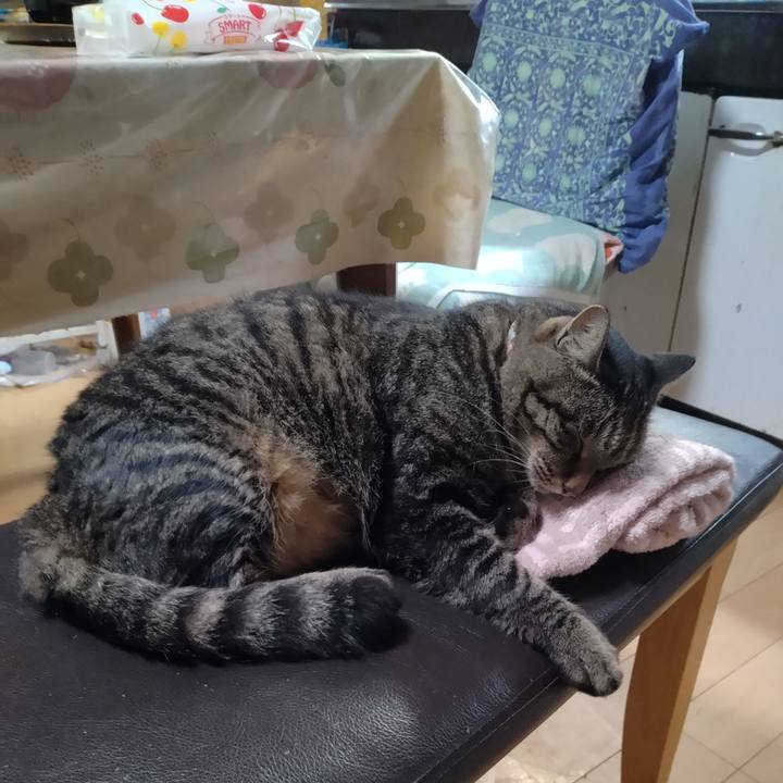 Cc66ebb4 8631 4fb2 852a eb86bc53e8e2 1694562492932