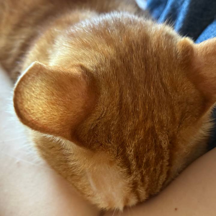 Cc671119 db86 4ab6 8d43 18574b69cfcb 1759534443115