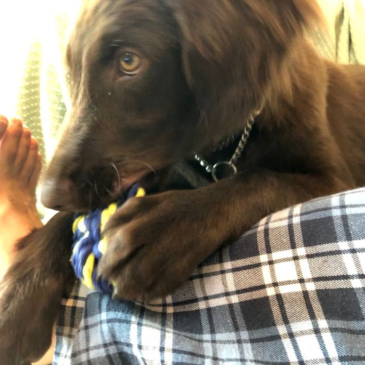 Cc6717b0 5a13 4f15 b173 fe1abdc420ff 1558391017955