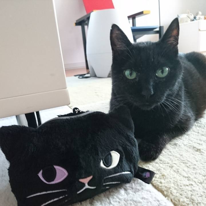 Cc671b00 7461 4837 bf46 5dfa5bb95c61 1572253159284