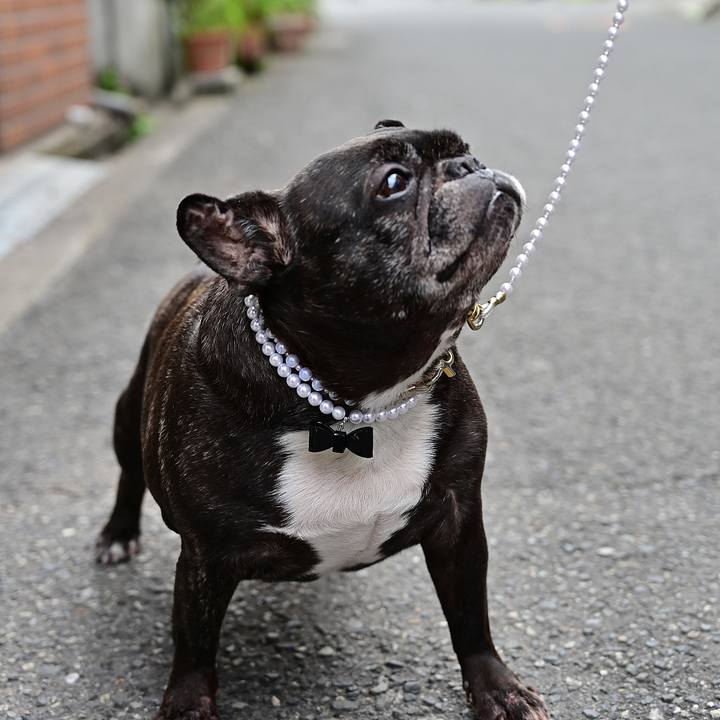 Cc672140 6e9c 4788 8915 1c65e5ae5d46 1556559679225