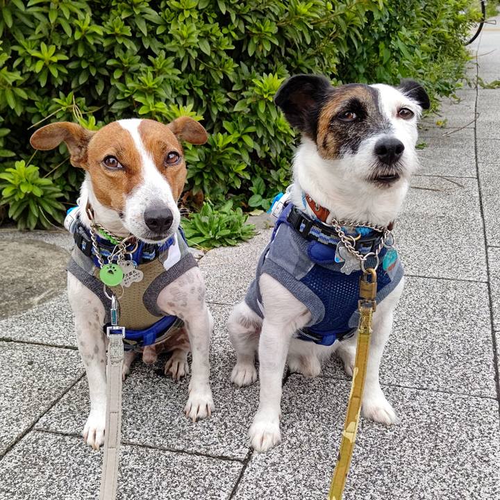 Cc674772 f138 4272 b71e befebd53f114 1631744057012