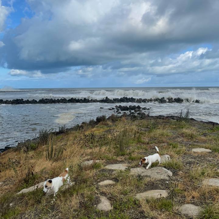 Cc6750aa 5d87 4b02 83bb e7933c676115 1628639630465