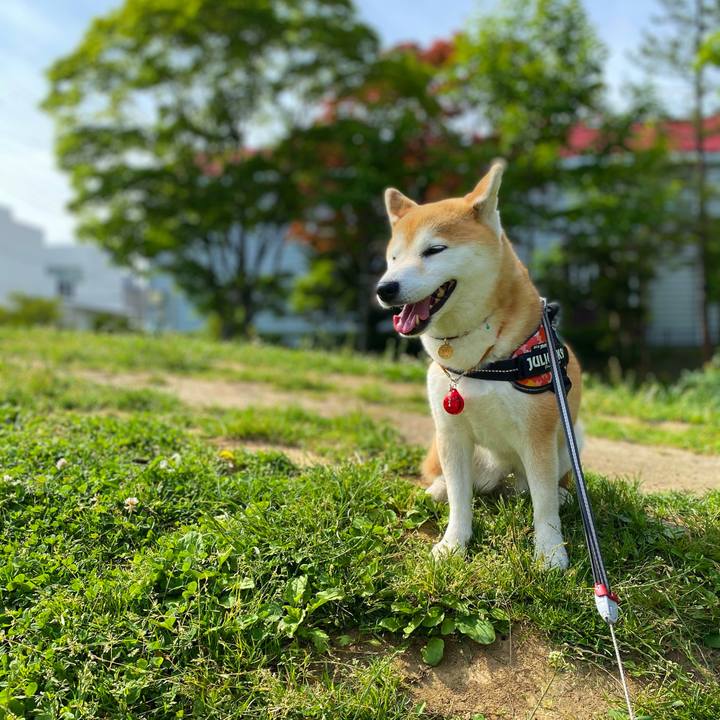 Cc676f06 8175 44cc aae7 39658d569505 1624941485011