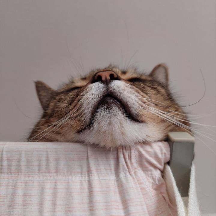 Cc67a3ee c151 4190 a21d c360e83a18d4 1695769797531