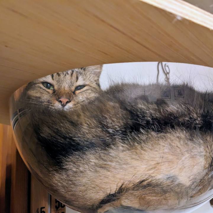 Cc67b2a7 8217 46c0 aa00 4adda40858c1 1759964234166