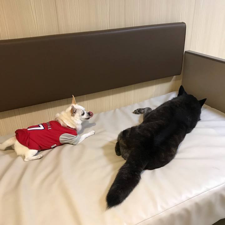 Cc67cbe9 1752 41a6 ae06 e040f9d44f7b 1559743513438