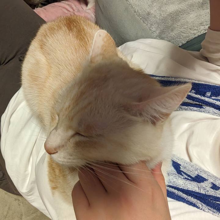 Cc67cdfd 6cee 43b7 aa97 509c7d677e81 1702629277862