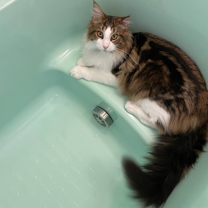 Cc67d89f d0b3 4762 81ee 5484cbb90aa8 1642796277187