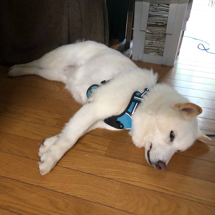 Cc6810aa 16eb 4533 bea4 f683fd118951 1717623670757