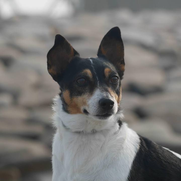 Cc6861ee 9ea1 4147 ab7a 9e0359ad97f0 1623801561072