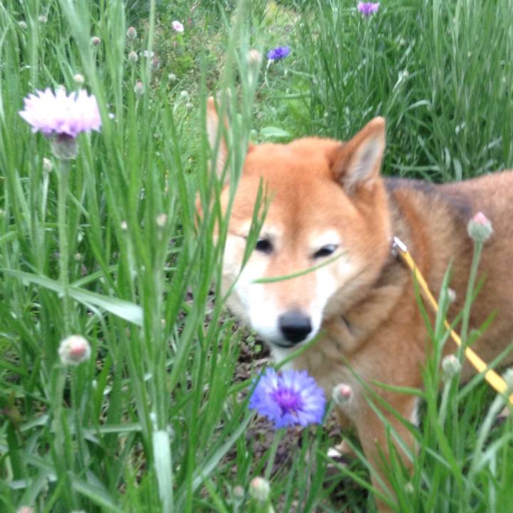 Cc686fe6 447b 4e01 89ed 697061effad2 1525129398569