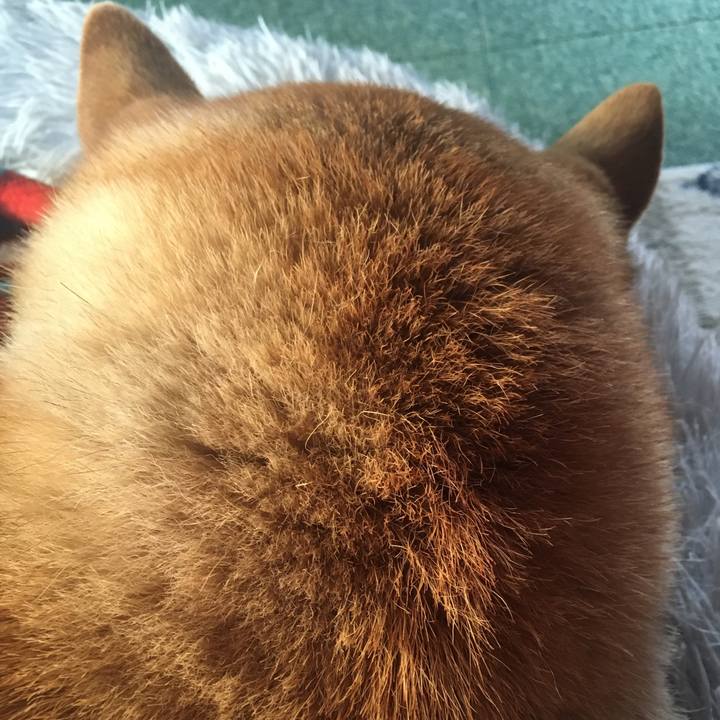 Cc6885f5 c272 4e76 b045 2d92f270762e 1641513714335