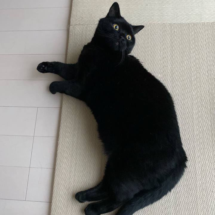 Cc689c95 af61 419f bc17 c7933ae34935 1655977763491