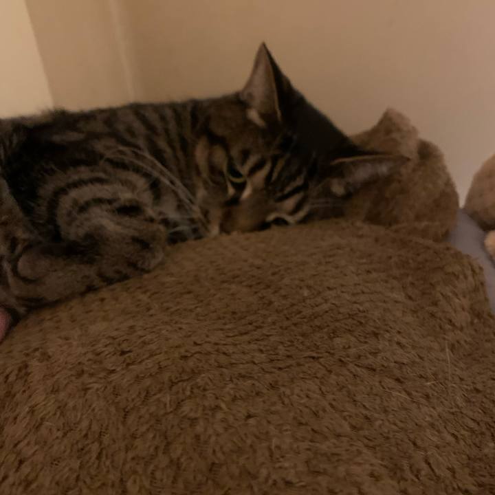 Cc68a2cc 4ac5 4679 ab7f 21486cfc8183 1642996901696