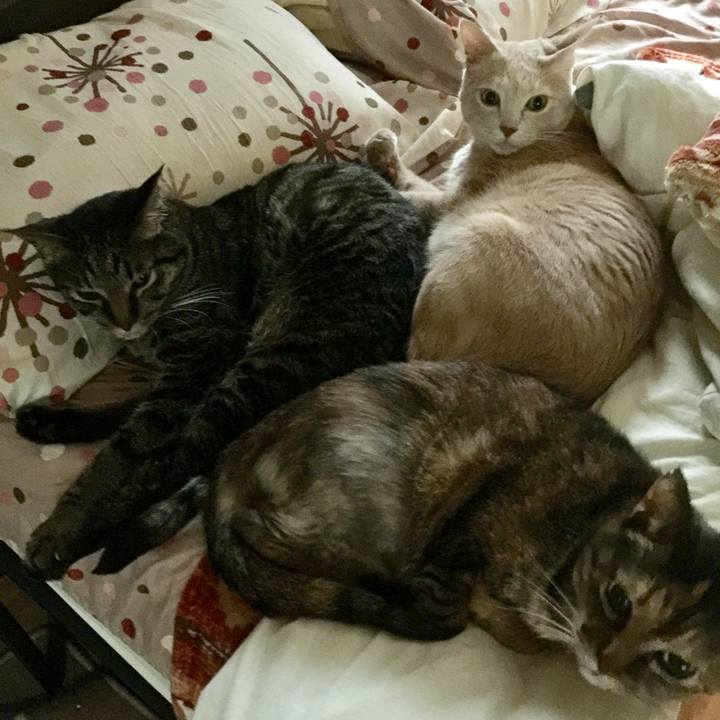 Cc68ab74 e03a 4ac9 aa61 dad6ea5531e7 1701755055981