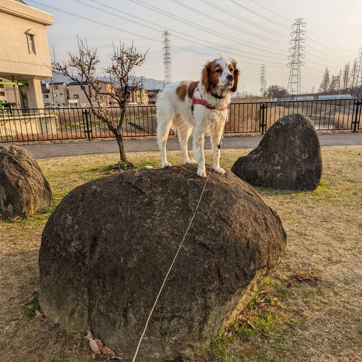 Cc68affc 46ef 4dbf 8b1a 5065208852dd 1643792889543