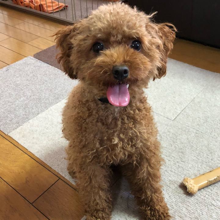 Cc68b77f 4947 4af0 8993 4f137aa53e6e 1538794532044