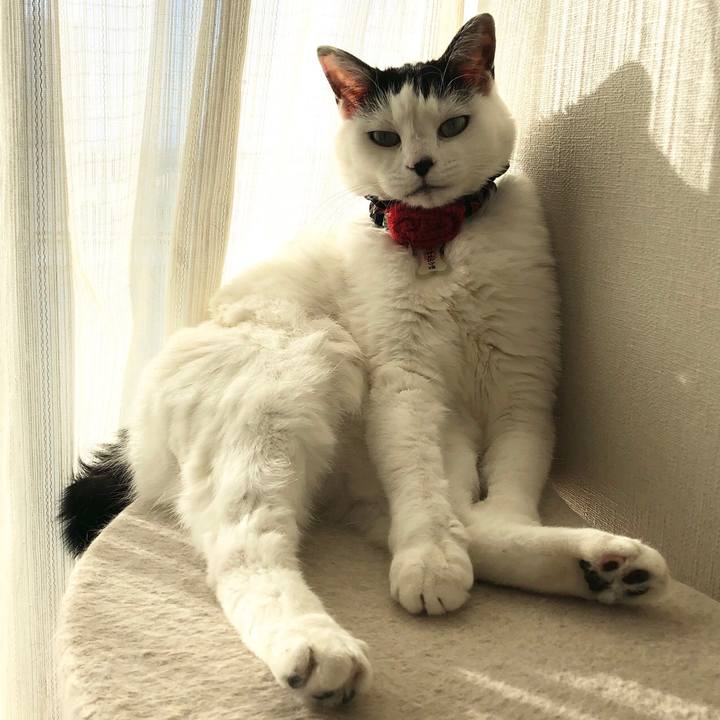 Cc68b7e7 6e26 4a89 a0c3 4fbe2e0a0401 1546327770494