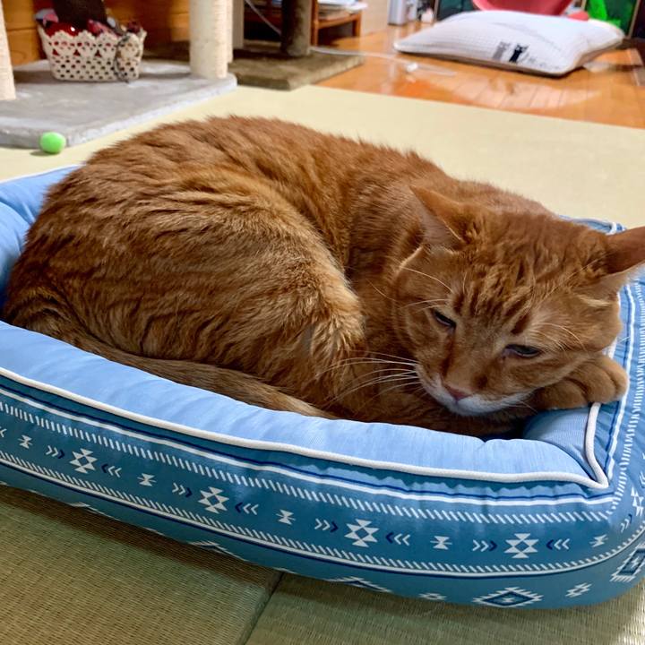 Cc68dc6c fdd4 492d a76f f30a8b027824 1564815245894