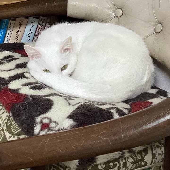 Cc68f385 da6d 4b47 b52a 5ea6f00fb57d 1679791797976