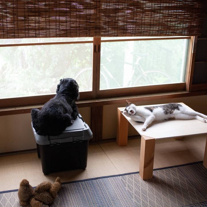 Cc68f9c2 4553 453f 8e50 a2127f048fa7 1565101225243